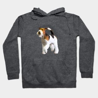 Fox Terrier Wire Foxy Dog Hoodie